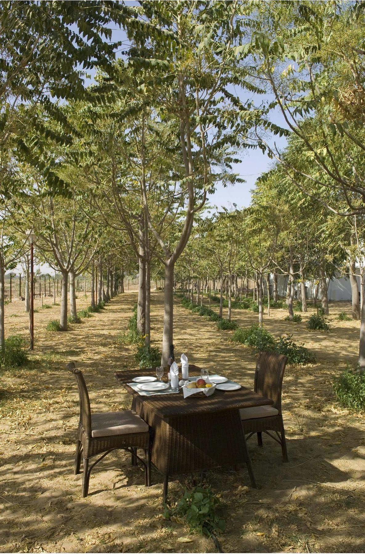 The Greenhouse Resort Пушкар Экстерьер фото